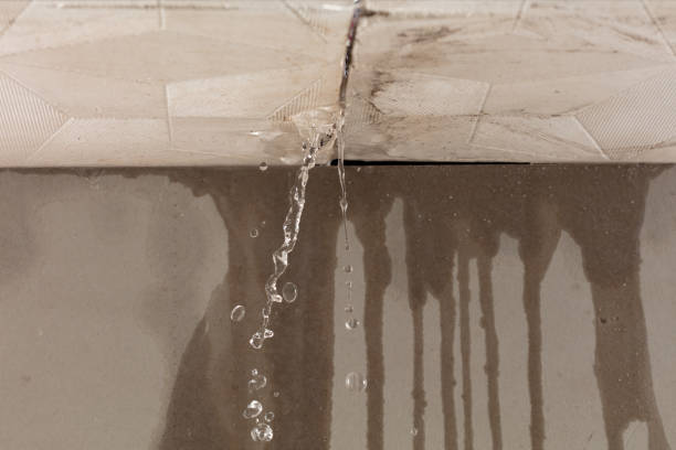 Professional Structural Drying technician working in Montrose, PA